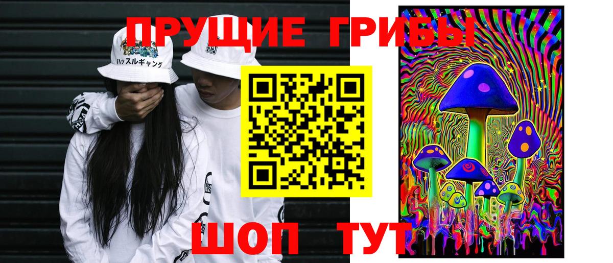 Псилоцибиновые грибы мицелий Стрежевой