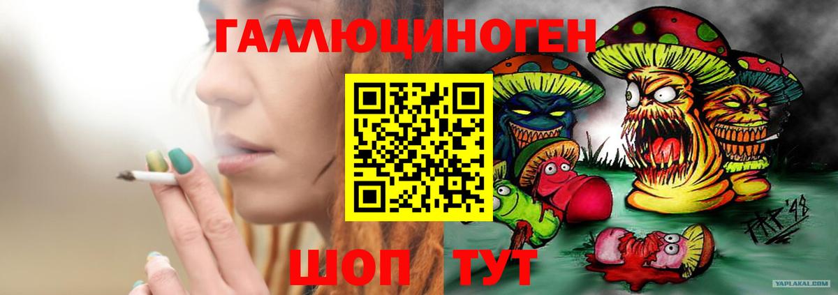 Стрежевой  Галлюциногенные грибы Psilocybine cubensis  Галлюциногенные грибы мицелий  Вход с VPN 